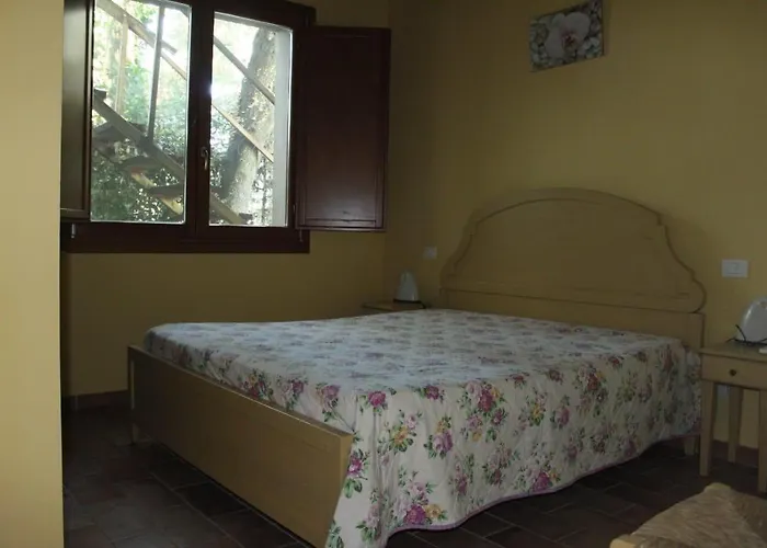 Angelini * 라벤나